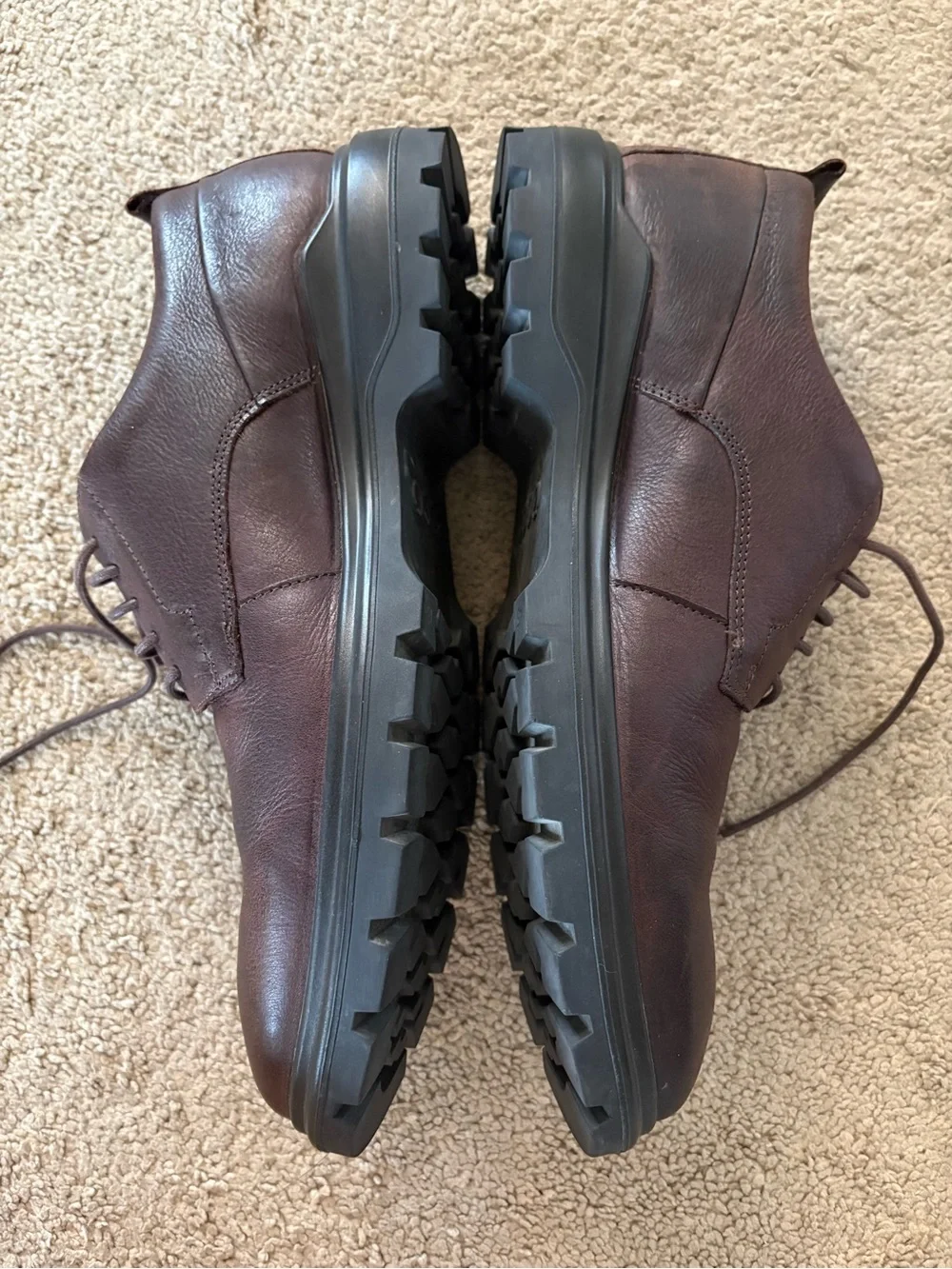 Ecco this pair